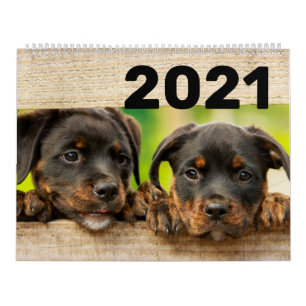 Calendario Perros y cachorros 2021
