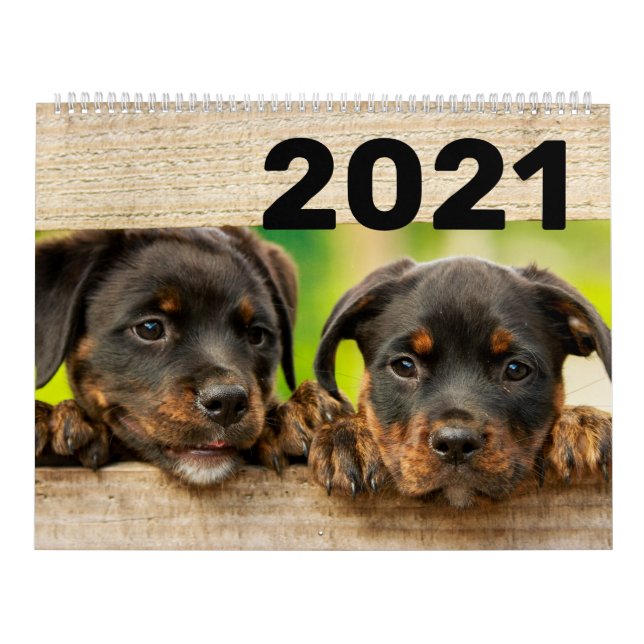 Calendario Perros y cachorros 2021 (Tapa)