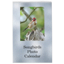 Personalizable de foto azul Birds