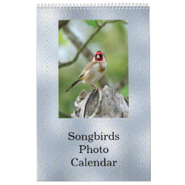 Calendario Personalizable de foto azul Birds