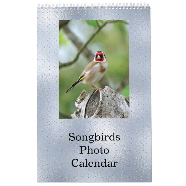 Calendario Personalizable de foto azul Birds (Tapa)