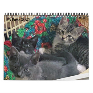 Calendario personalizado de 12 meses de PA Paws