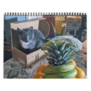 Calendario personalizado de 12 meses de PA Paws 20
