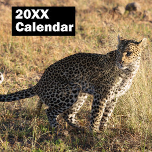 Calendario Personalizado de Animales Defecando 202