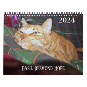 Calendario personalizado de Basil Ginger Cat 2024