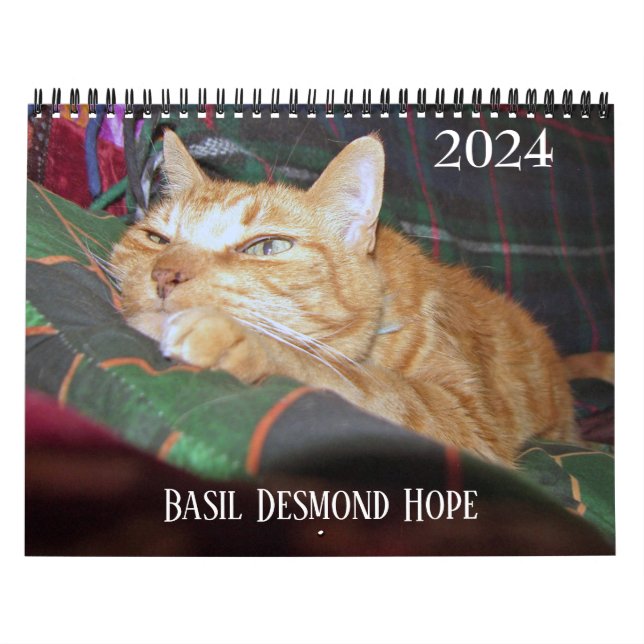 Calendario personalizado de Basil Ginger Cat 2024 (Tapa)