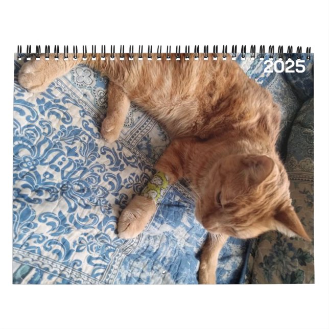 Calendario personalizado de Bazz 12 Mes 2025 (Tapa)