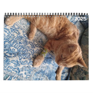 Calendario personalizado de Bazz 12 Mes 2025