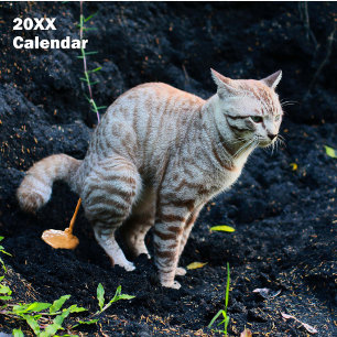 Calendario Personalizado de Gatos Divertidos Defec
