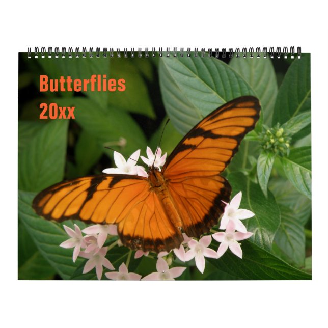 Calendario personalizado de mariposas (Tapa)