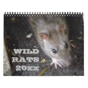 Calendario personalizado de ratas silvestres