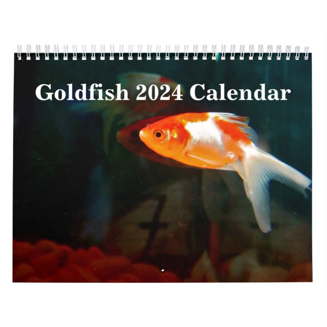 Calendario Pesca de oro 2025