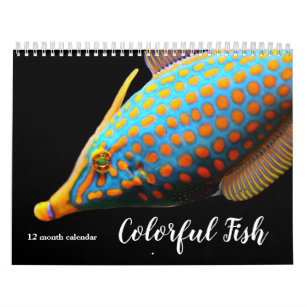 Calendario Pescado colorido de 2024