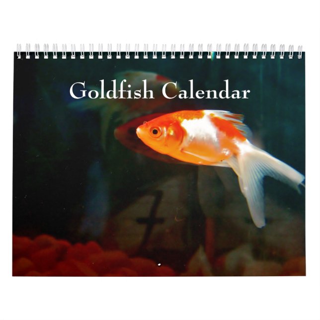 Calendario Pescado de oro 2024 (Tapa)