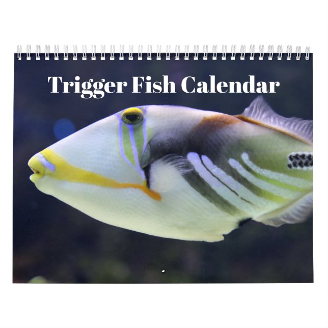 Calendario Pescado desencadenante 2025 (Tapa)