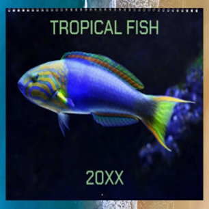 Calendario Pescado Tropical Editable