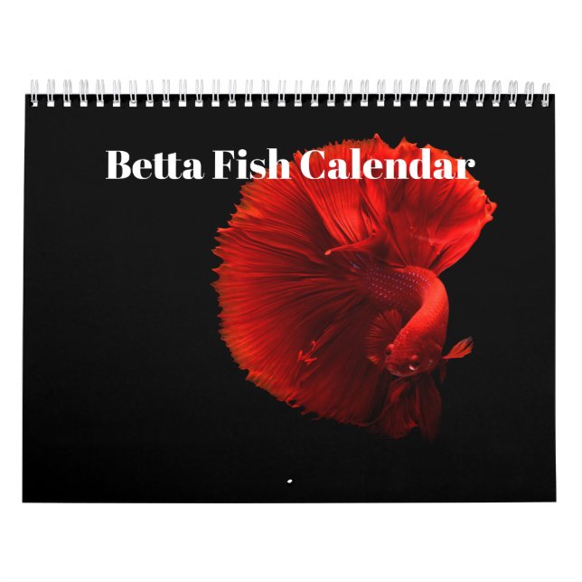 Calendario Pez betta 2027 (Tapa)
