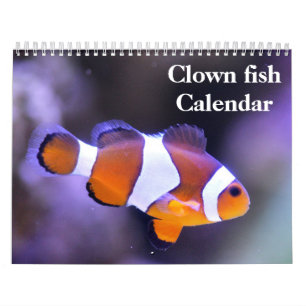 Calendario Pez Payaso 2027