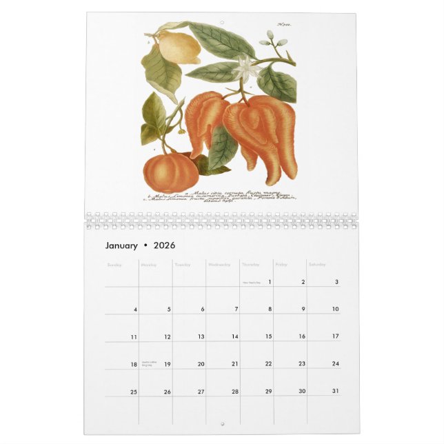 Calendario Phytanthoza Iconographia (Jan 2026)