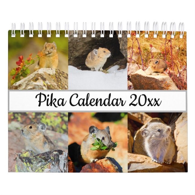 Calendario Pika (Tapa)