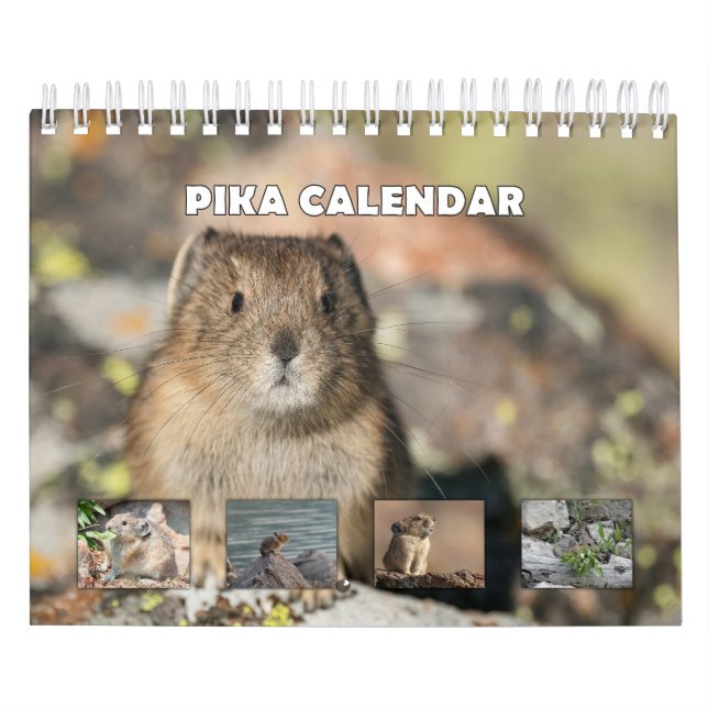 Calendario Pika (Tapa)