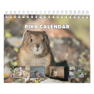 Calendario Pika