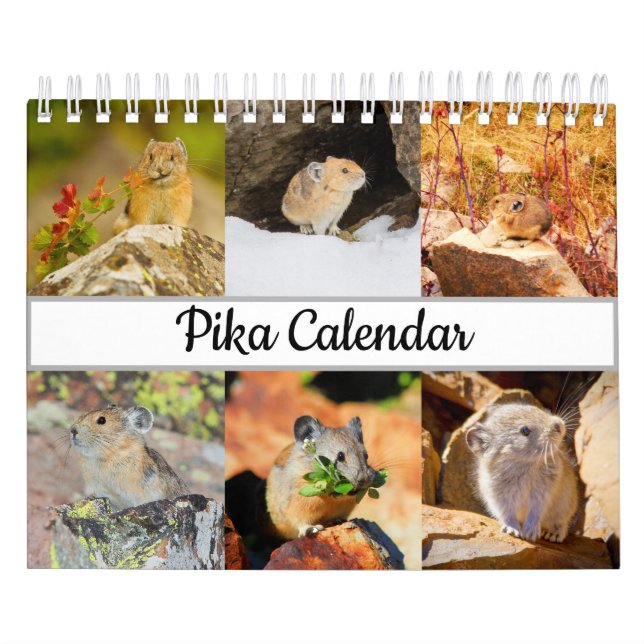 Calendario Pika (Tapa)