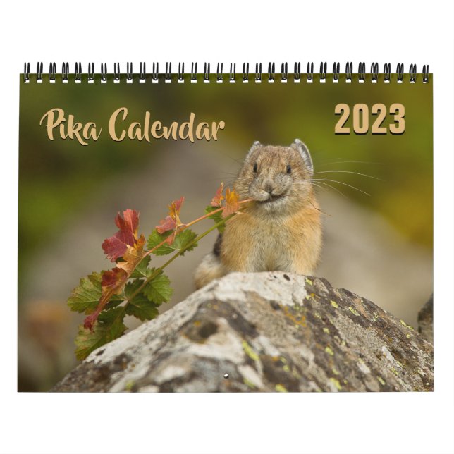 Calendario PIka 2023 (Tapa)