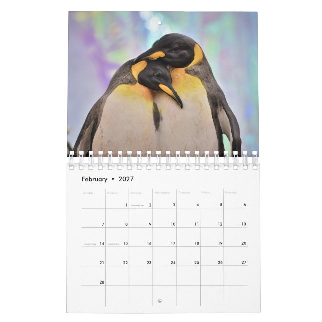 Calendario Pingüino (Feb 2027)