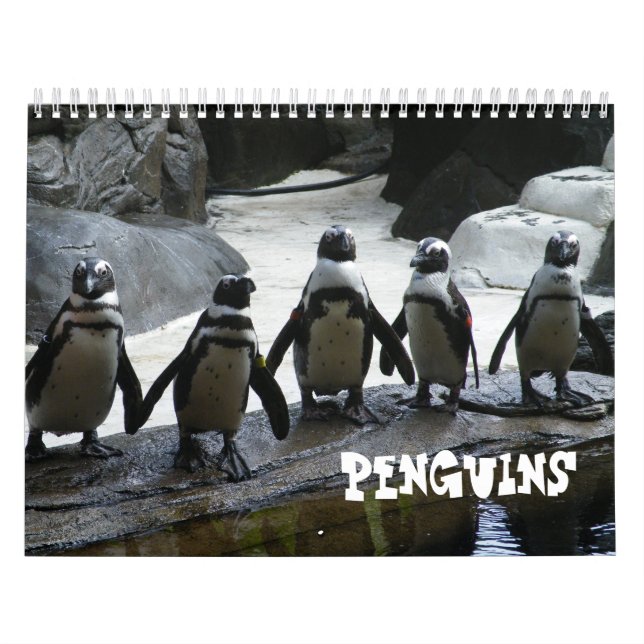 Calendario pingüino (Tapa)
