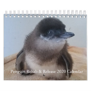 Calendario Pingüino 2020