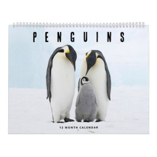 Calendario Pingüinos