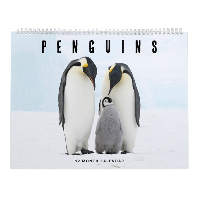 Calendario Pingüinos (Tapa)