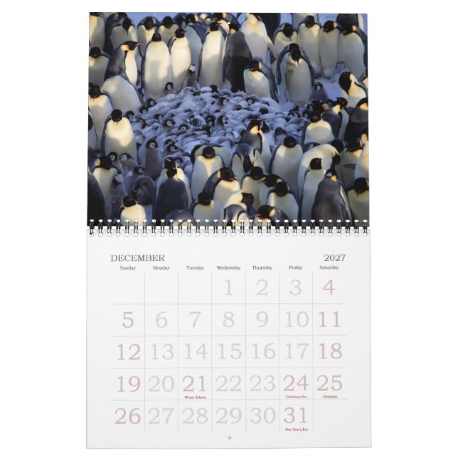 Calendario Pingüinos (Dec 2027)