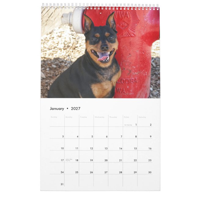 Calendario Pinscher Miniatura Uno (Jan 2027)