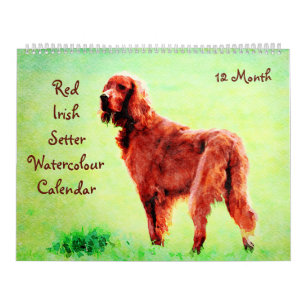 Calendario Pintura de color de agua de perro rojo irlandés de