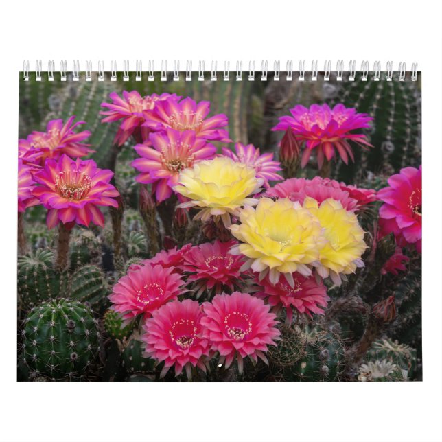 Calendario Pintura de flor de Cactus (Tapa)