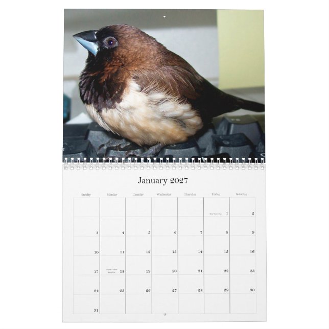 Calendario Pipi el pinzón adorable (Jan 2027)