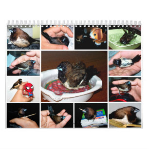 Calendario Pipi el pinzón adorable