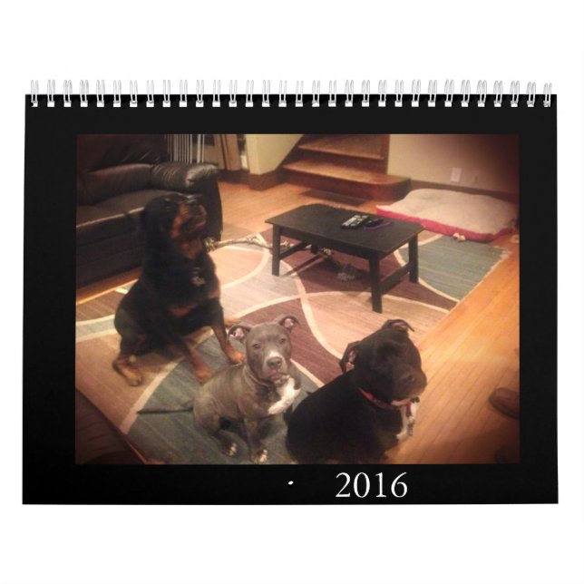 Calendario Pitbull y amor de Rottweiler (Tapa)