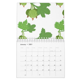 Calendario Planta de Uchuva Fruta Exótica Physalis