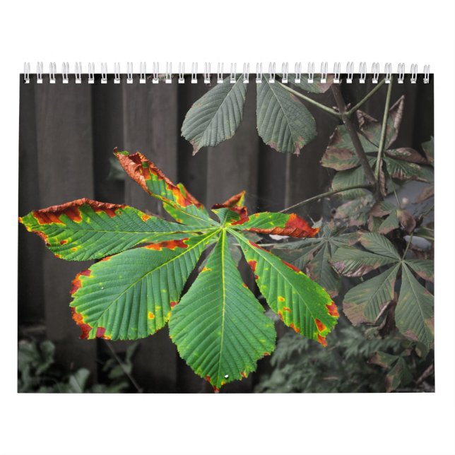 Calendario Plantas (Tapa)