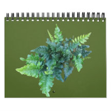 Plantas Nativas - Noroeste del Pacífico