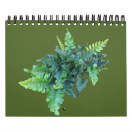 Calendario Plantas Nativas - Noroeste del Pacífico