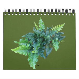 Calendario Plantas Nativas - Noroeste del Pacífico