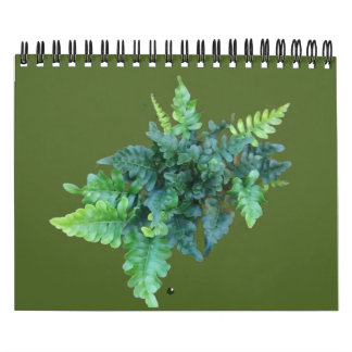 Calendario Plantas Nativas - Noroeste del Pacífico