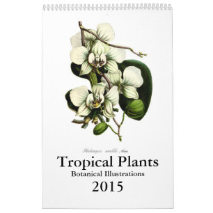 Calendario Plantas tropicales 2015