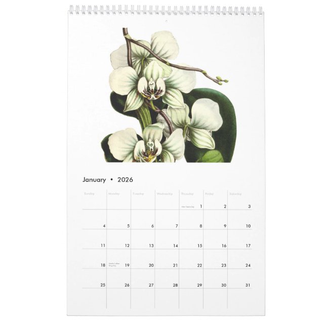 Calendario Plantas tropicales 2015 (Jan 2026)