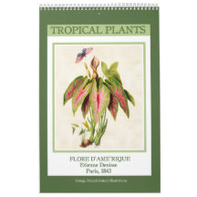 Plantas Tropicales Botánicas Vintage 2027