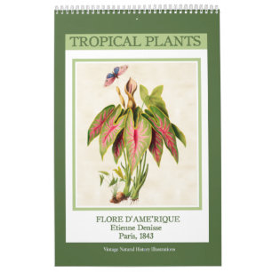 Calendario Plantas Tropicales Botánicas Vintage 2027